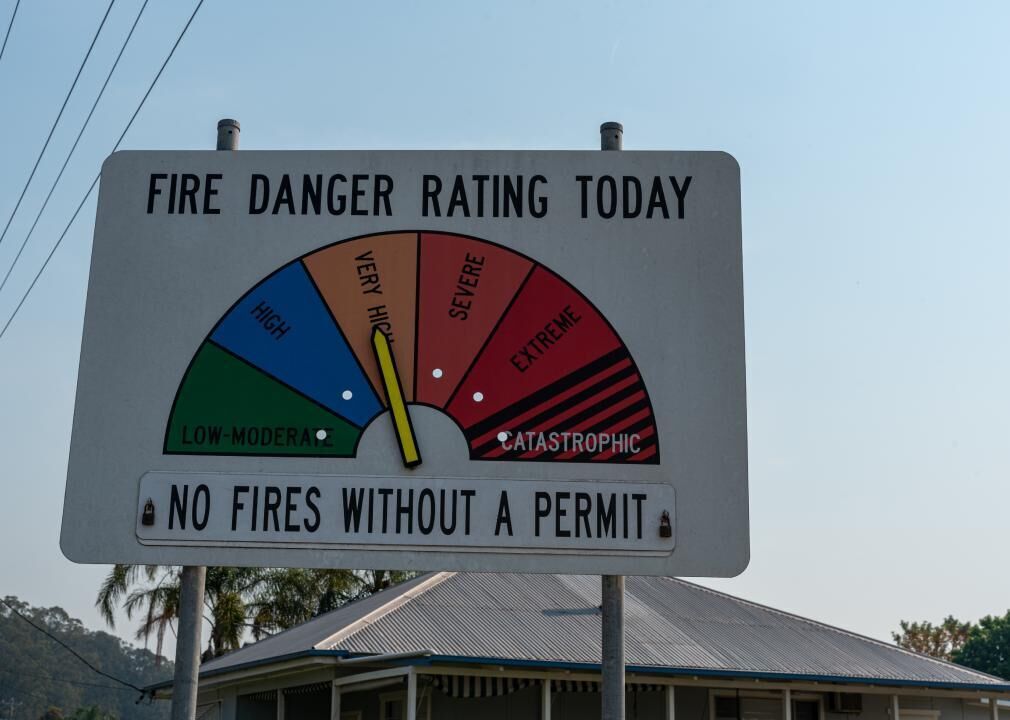 Wildfire